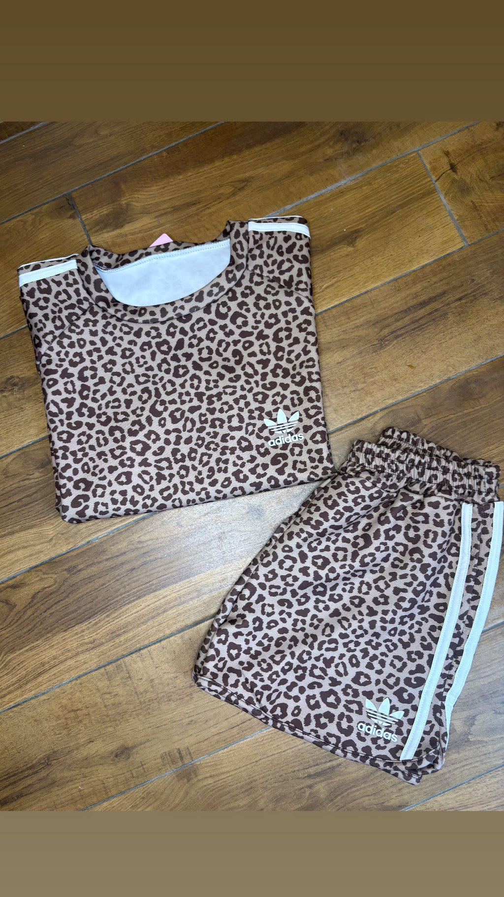 Coordinato SAFARI